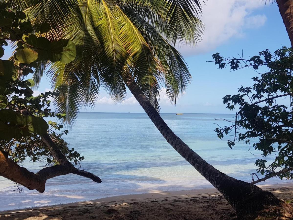 Residence Kawann Plage & Piscine - Hamaca 102 Folle Anse Bagian luar foto