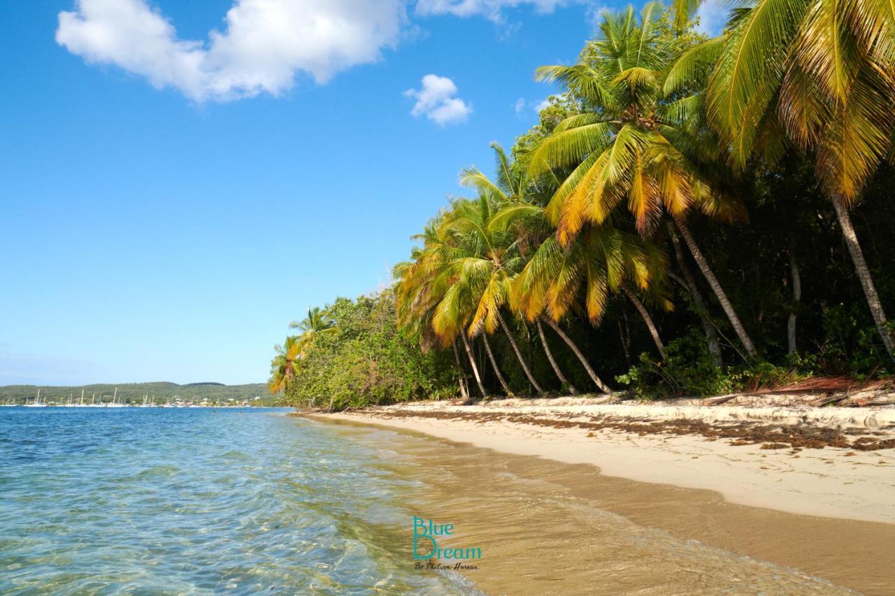 Residence Kawann Plage & Piscine - Hamaca 102 Folle Anse Bagian luar foto